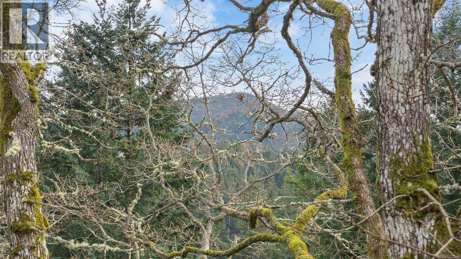  928 Cobblestone Lane, Saanich