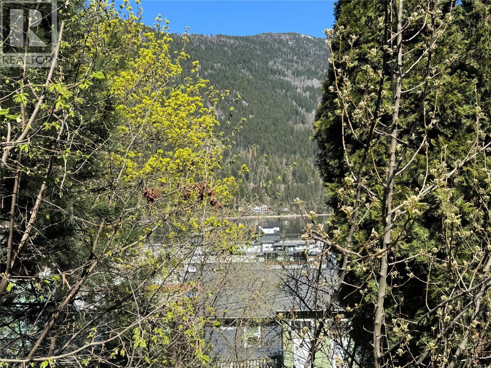 909 Edgewood Avenue - 11