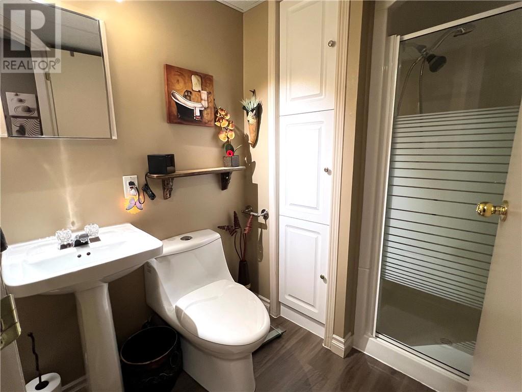 28 Victor Street, Sudbury, Ontario, P3B3R2 — Photo 25