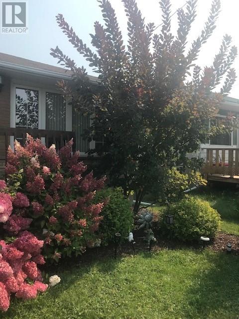 28 Victor Street, Sudbury, Ontario, P3B3R2 — Photo 29