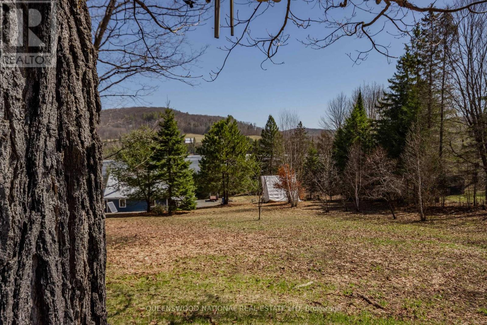 954 SCHUTT ROAD — photo 48