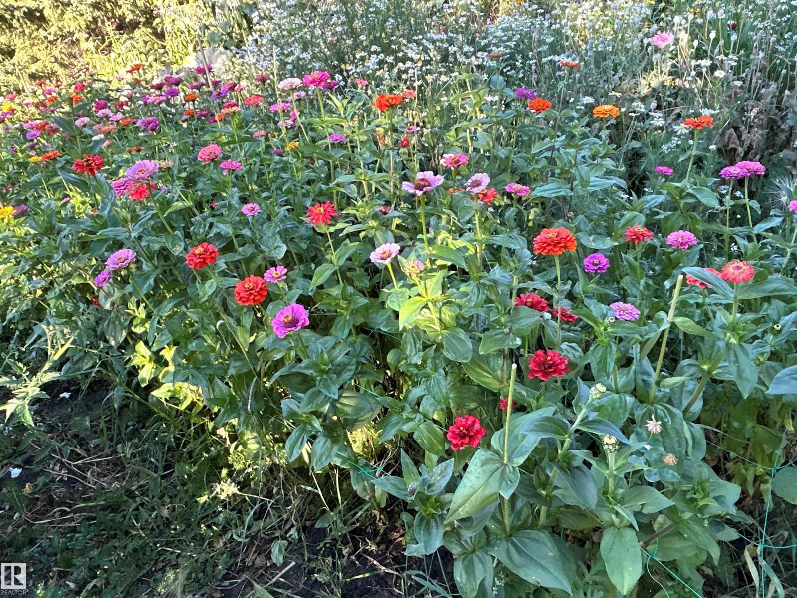 #98 52552 RGE ROAD 224, Rural Strathcona County