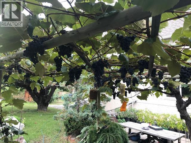 12009 Giants Head Road, Summerland