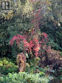  2524 Parkdale Place, Blind Bay