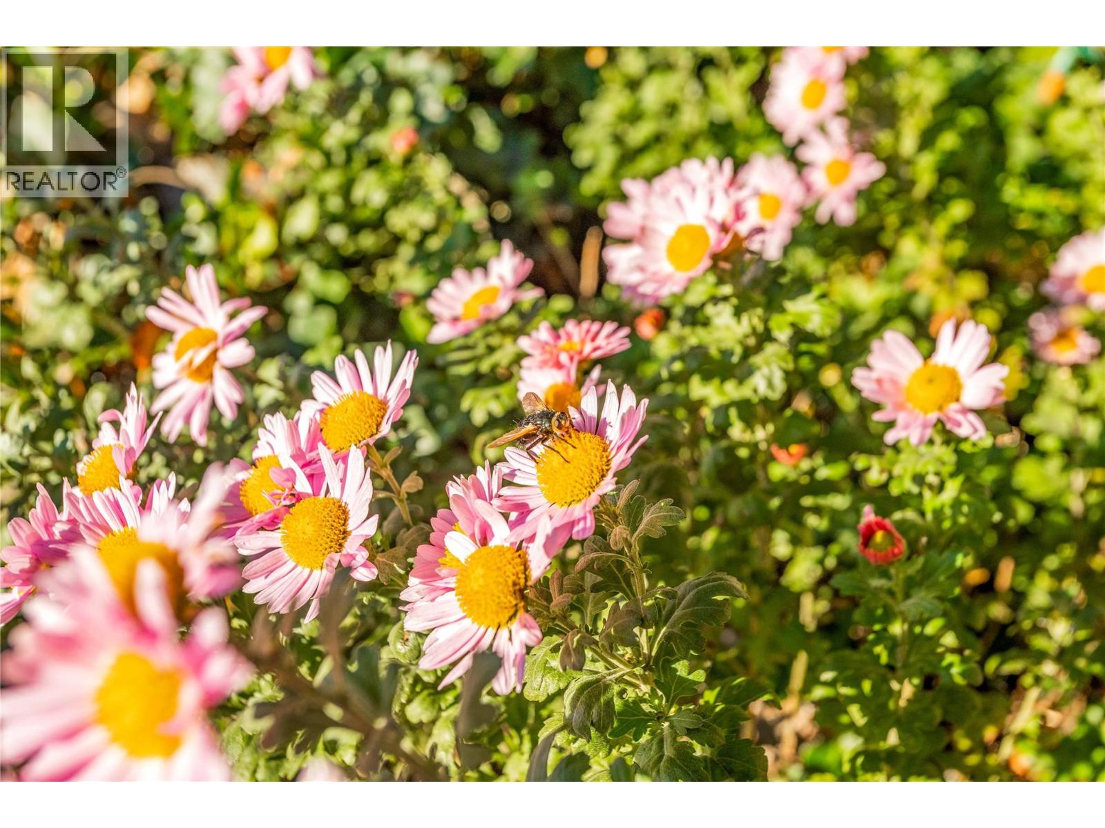 15370 Old Mission Road, Lake Country