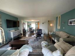 149 Boyne Street, Treherne, MB R0G2V0 Photo 23