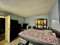 149 Boyne Street, Treherne, MB R0G2V0 Photo 34