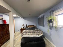 149 Boyne Street, Treherne, MB R0G2V0 Photo 43