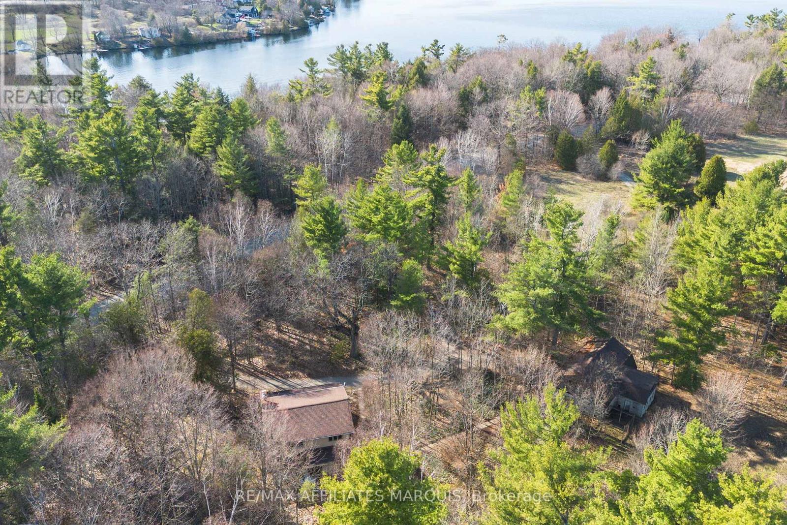 239 BAY ROAD — photo 46