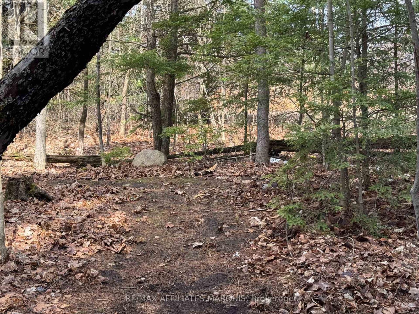 239 BAY ROAD — photo 47