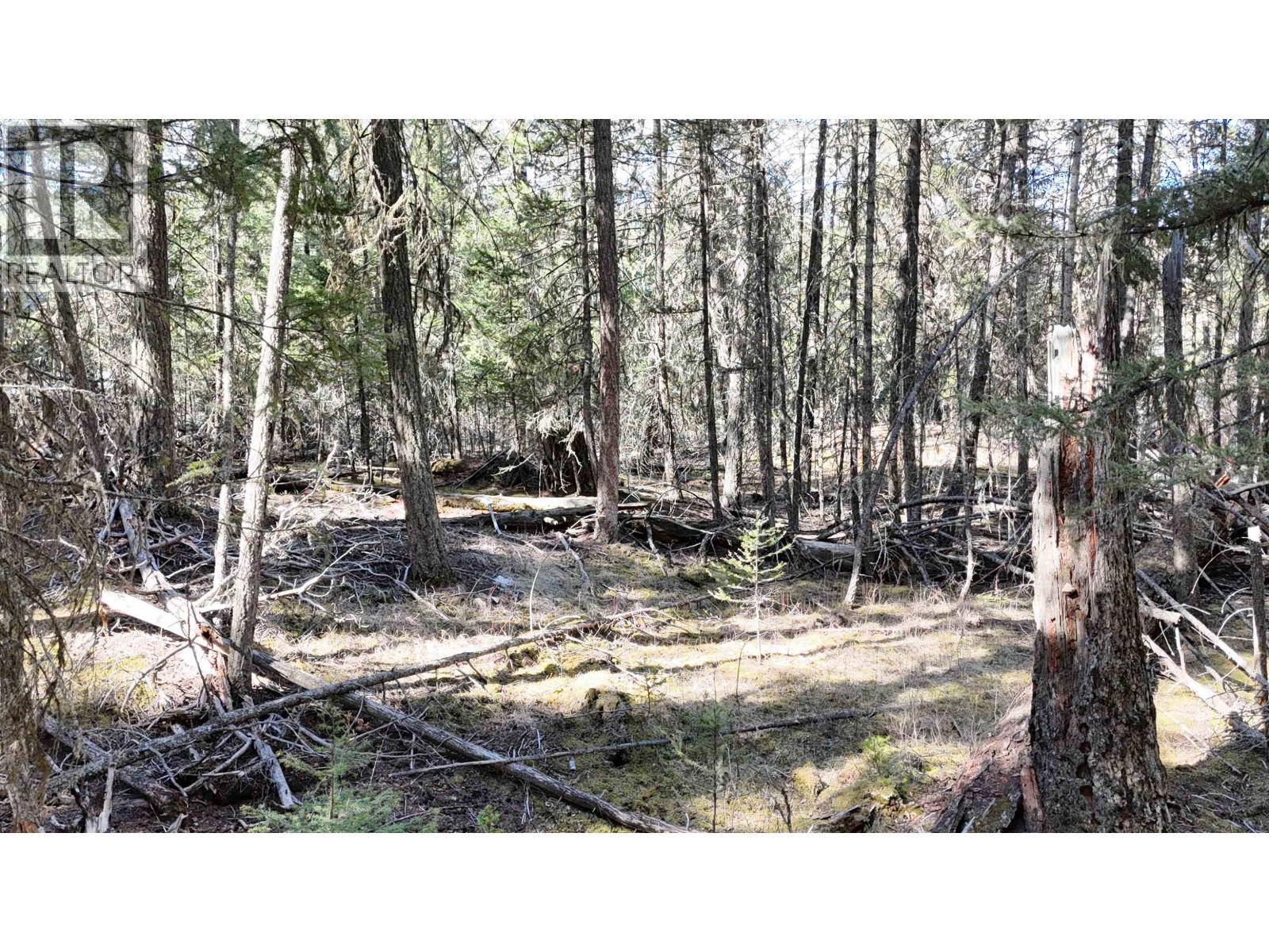 LOT 10 REITA CRESCENT — photo 13