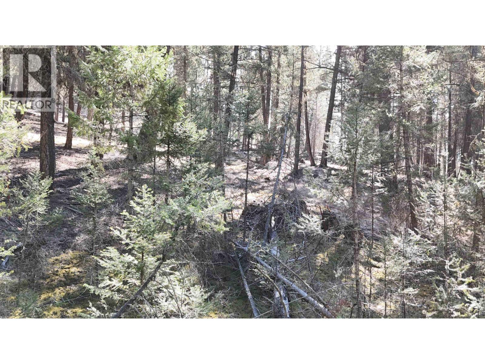 LOT 10 REITA CRESCENT — photo 14