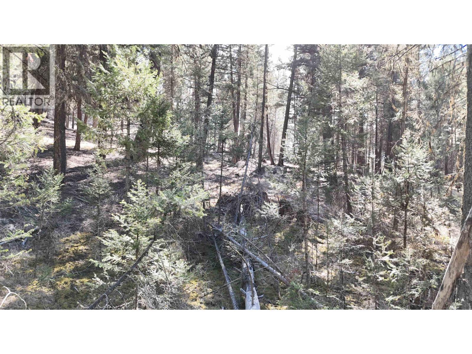 LOT 10 REITA CRESCENT — photo 15