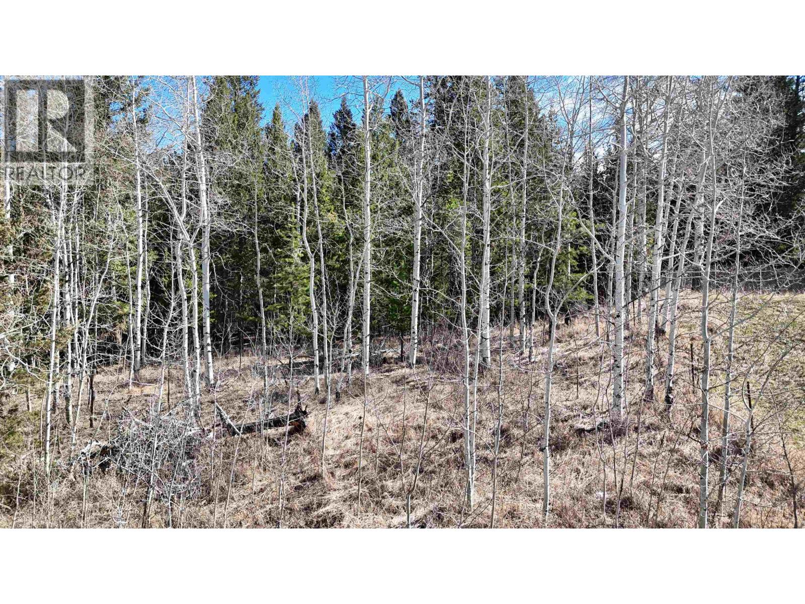 LOT 10 REITA CRESCENT — photo 16