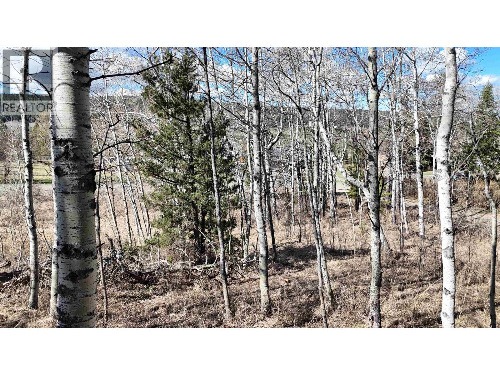 LOT 10 REITA CRESCENT — photo 17