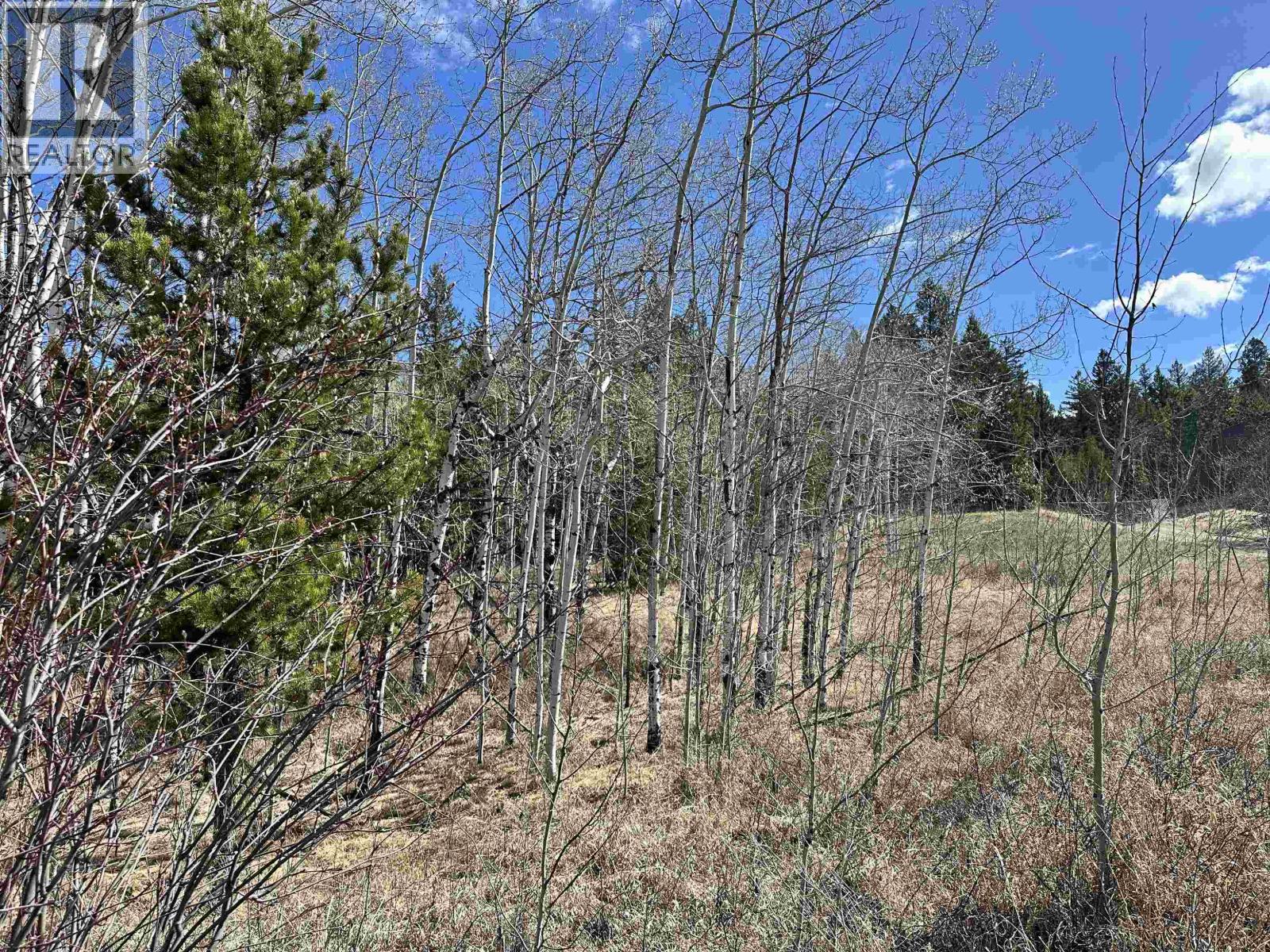 LOT 10 REITA CRESCENT — photo 18