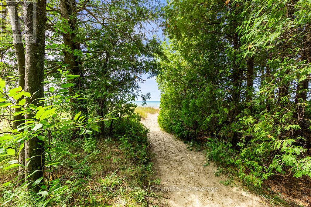Pathway to Beach