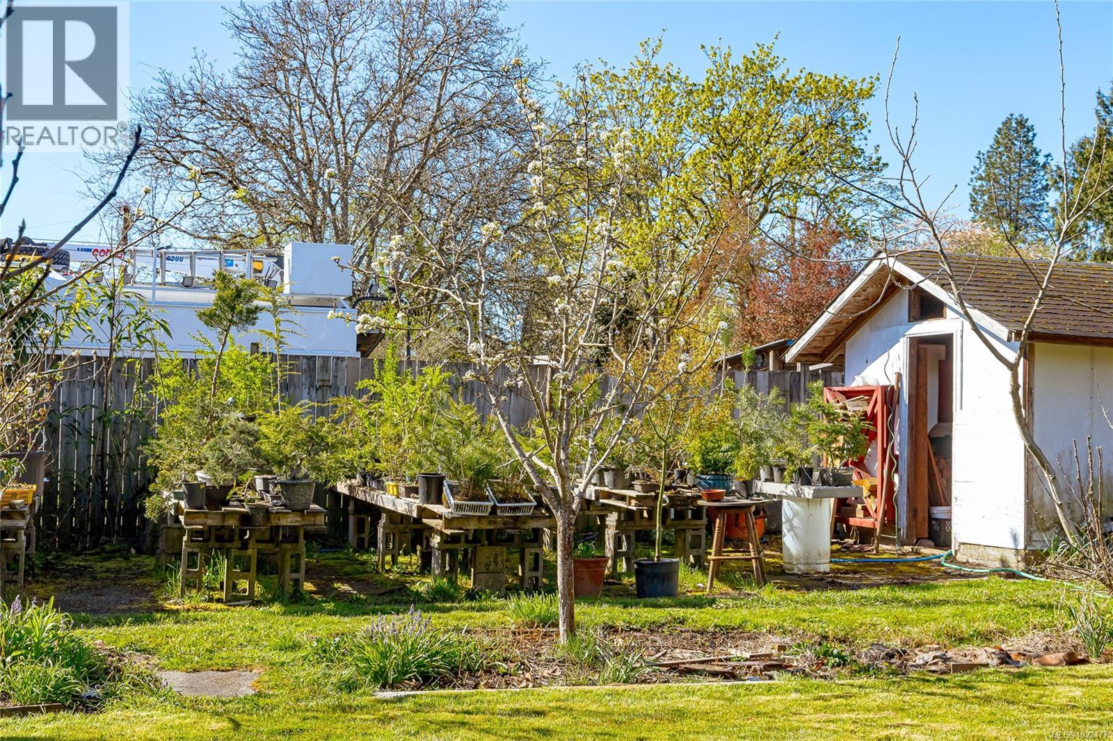 377 Campbell St - 28