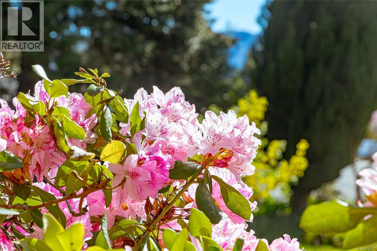 377 Campbell St - 37