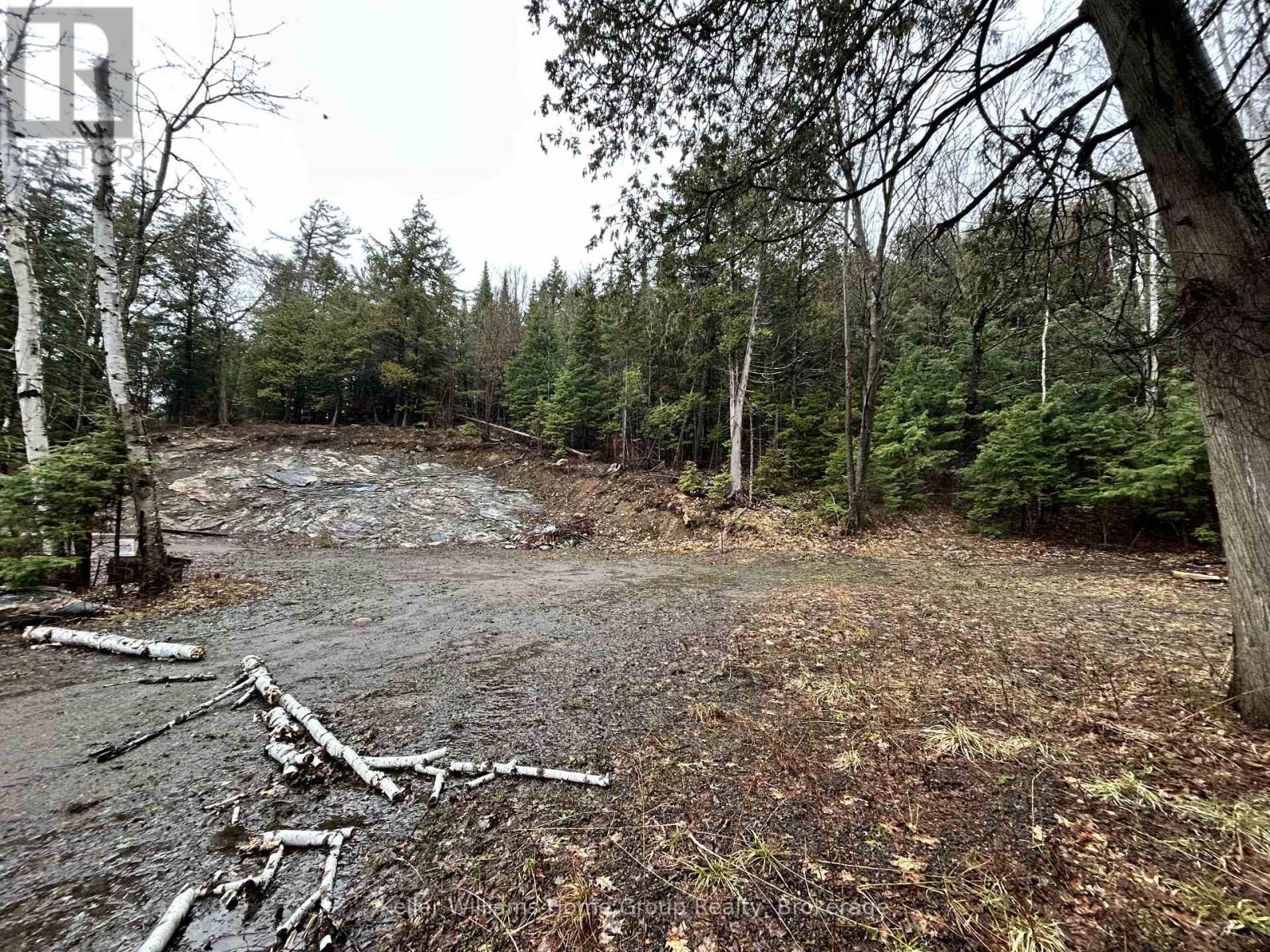 232 CLARKE ROAD — photo 3