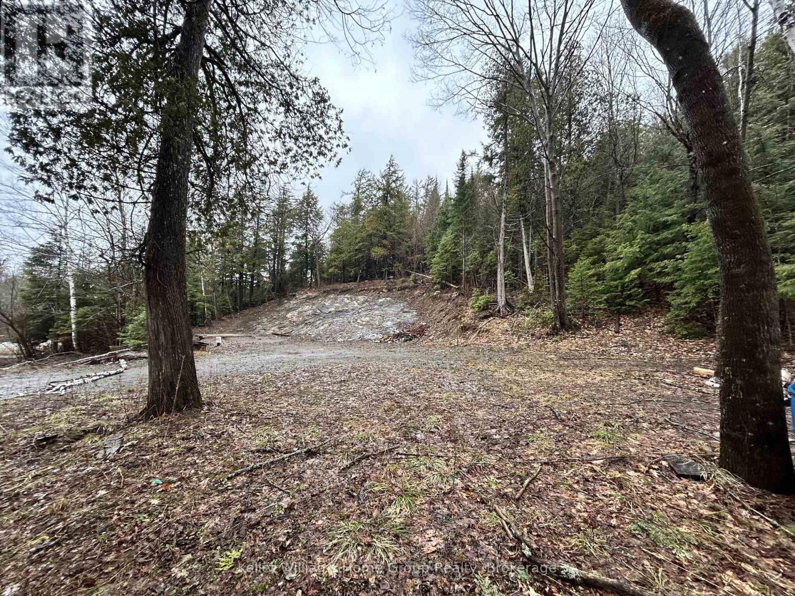 232 CLARKE ROAD — photo 8