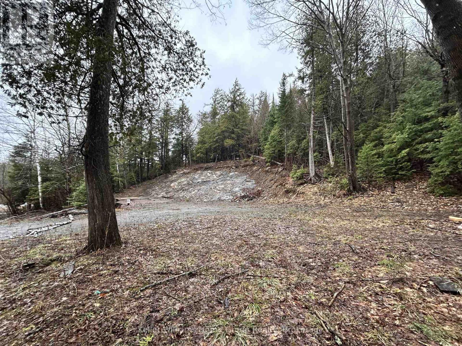 232 CLARKE ROAD — photo 9
