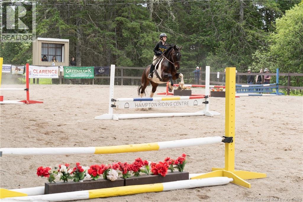 Horse Show