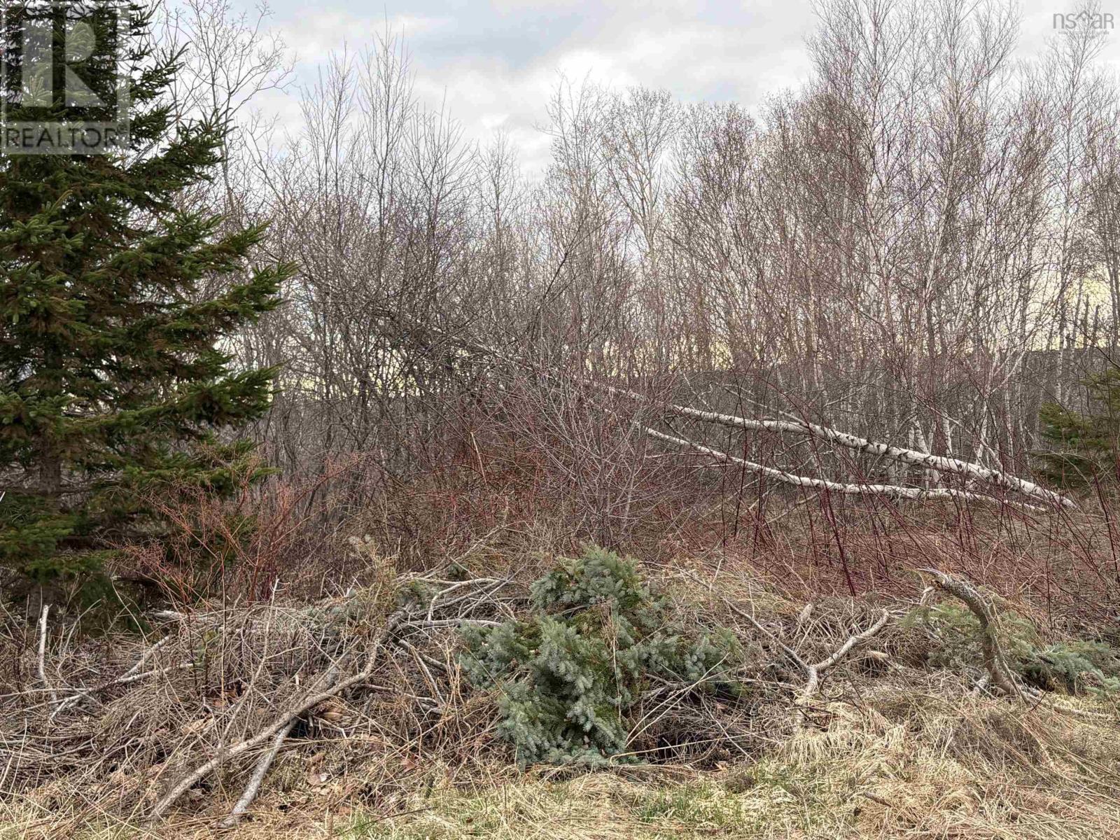 Property 2 of 2 of Lot - Oak Street