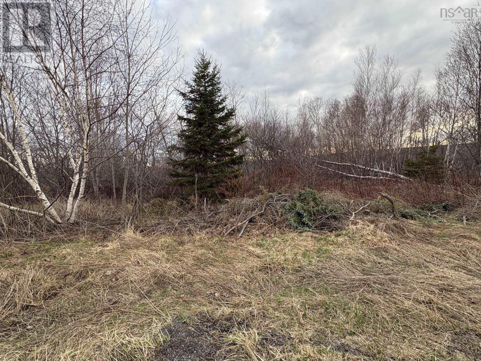 Property photo of Lot - Oak Street