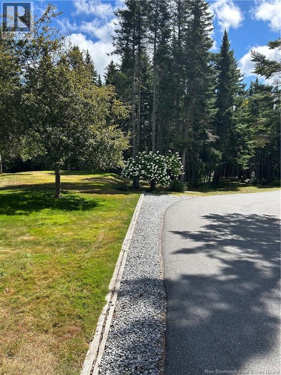 31 Sheila Avenue - 38