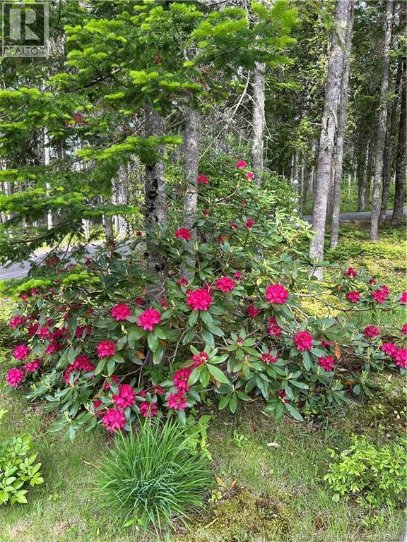 31 Sheila Avenue - 40