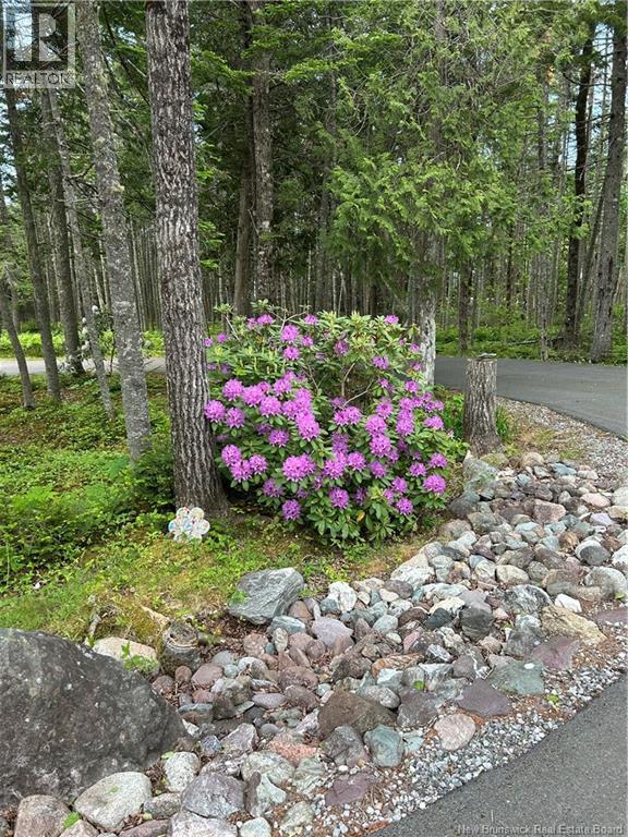 31 Sheila Avenue - 41