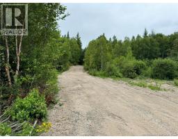 51.4 Hec Route 108, Renous, NB E9E2N2 Photo 6