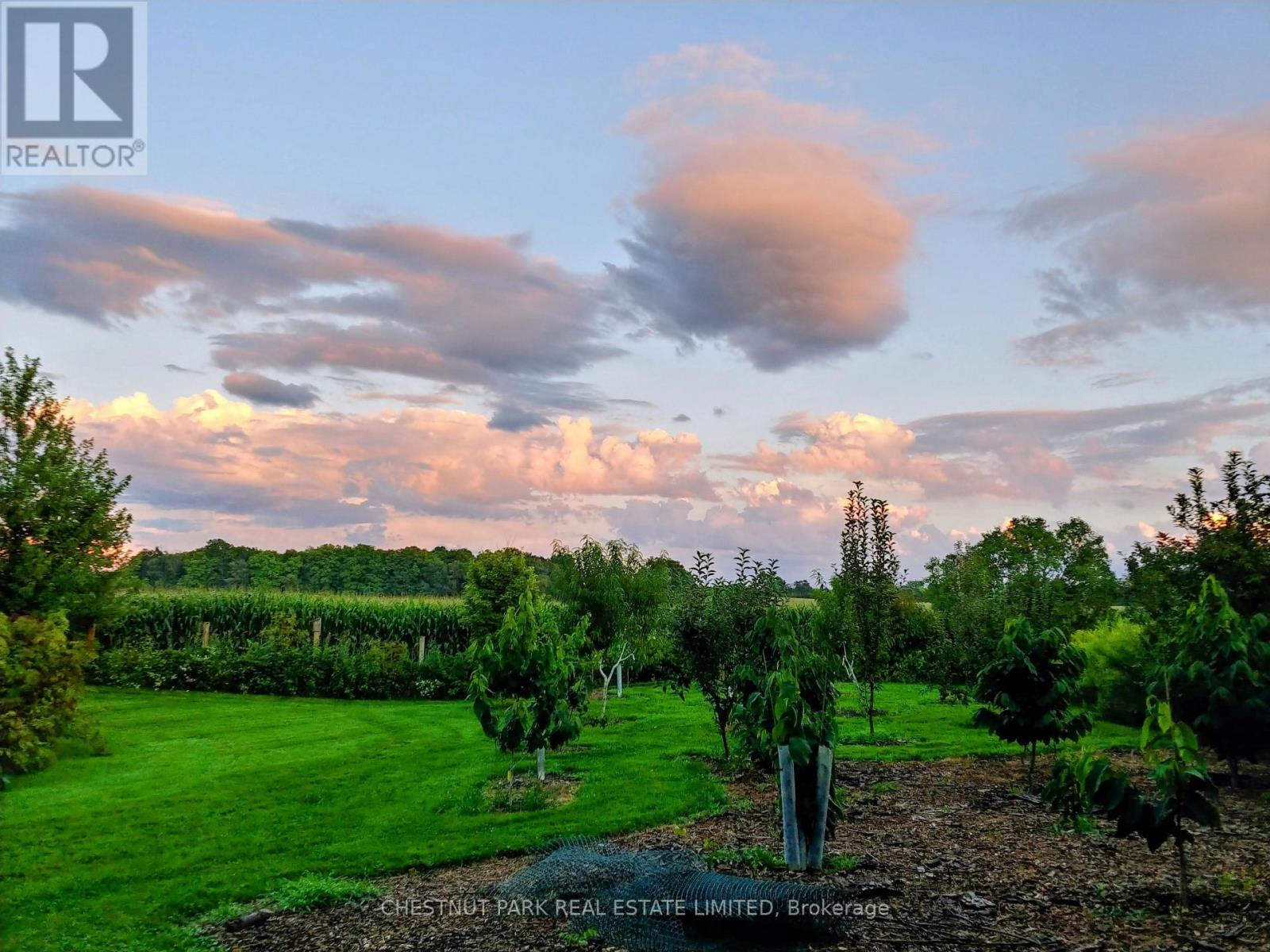 146 MASSASSAUGA ROAD - 50