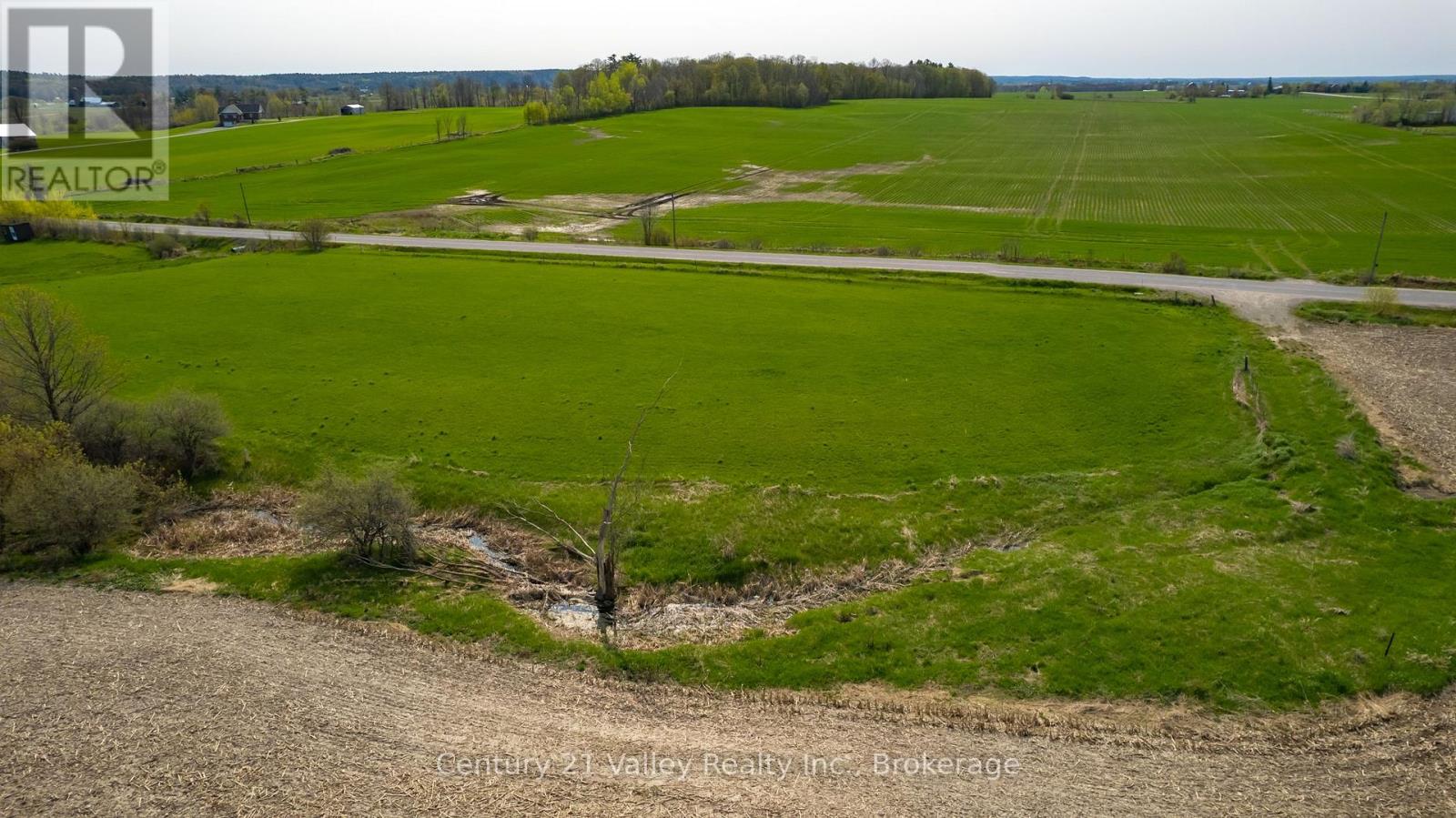 154 CORNERVIEW ROAD — photo 8