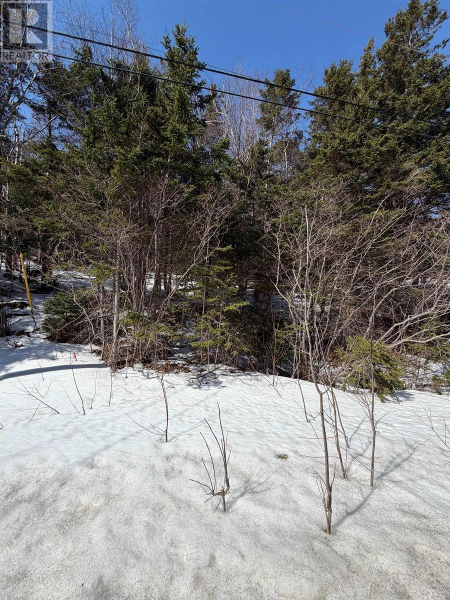 Property photo of Lot 19 Scotsville Rd, Kenloch, Nova Scotia, B0E 1N0