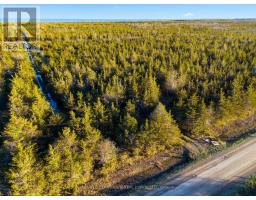 0 Hill Top Road, Prince Edward County, ON K0K2P0 Photo 14