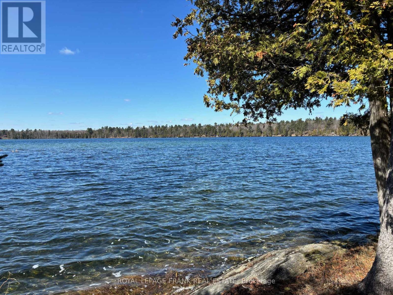 Shared waterfront lot