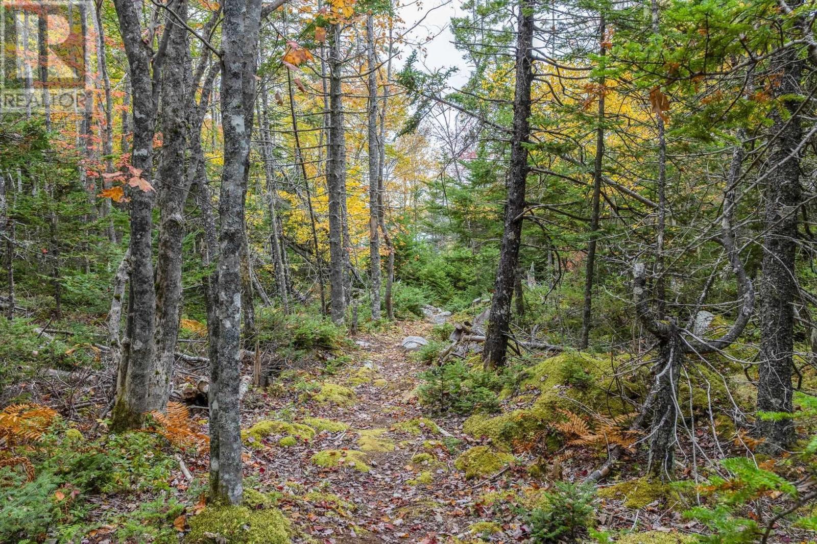Lot Scott's Point Road — photo 12