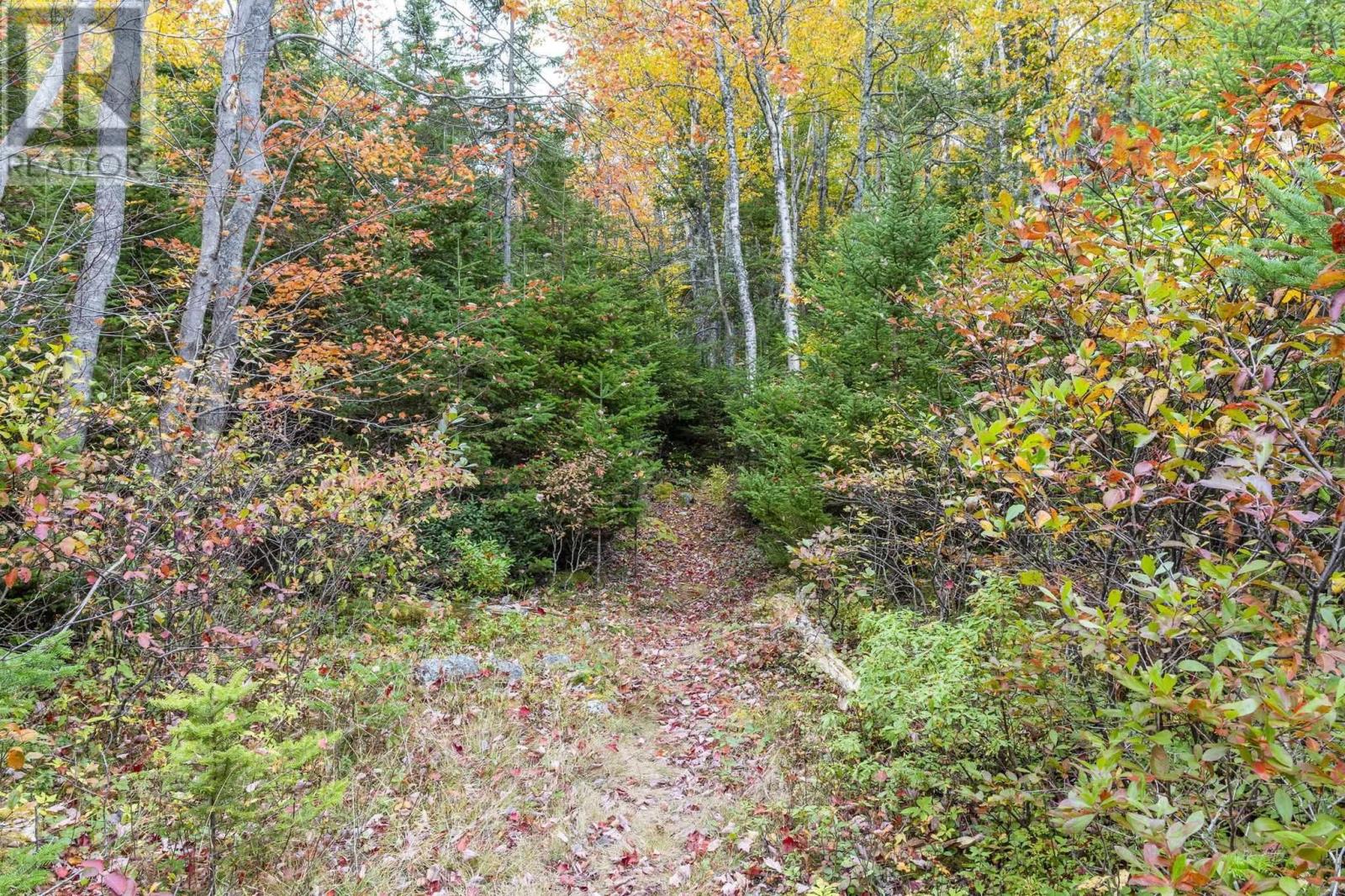 Lot Scott's Point Road — photo 19
