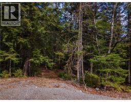 Lot 25-3 Buckley Settlement Road, Anagance, NB E4Z1B9 Photo 10