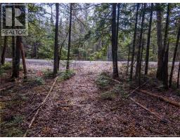 Lot 25-3 Buckley Settlement Road, Anagance, NB E4Z1B9 Photo 11