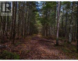 Lot 25-3 Buckley Settlement Road, Anagance, NB E4Z1B9 Photo 12