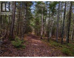 Lot 25-3 Buckley Settlement Road, Anagance, NB E4Z1B9 Photo 13