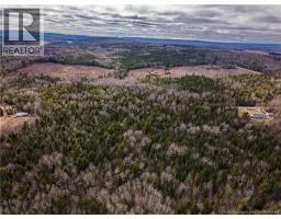 Lot 25-3 Buckley Settlement Road, Anagance, NB E4Z1B9 Photo 6