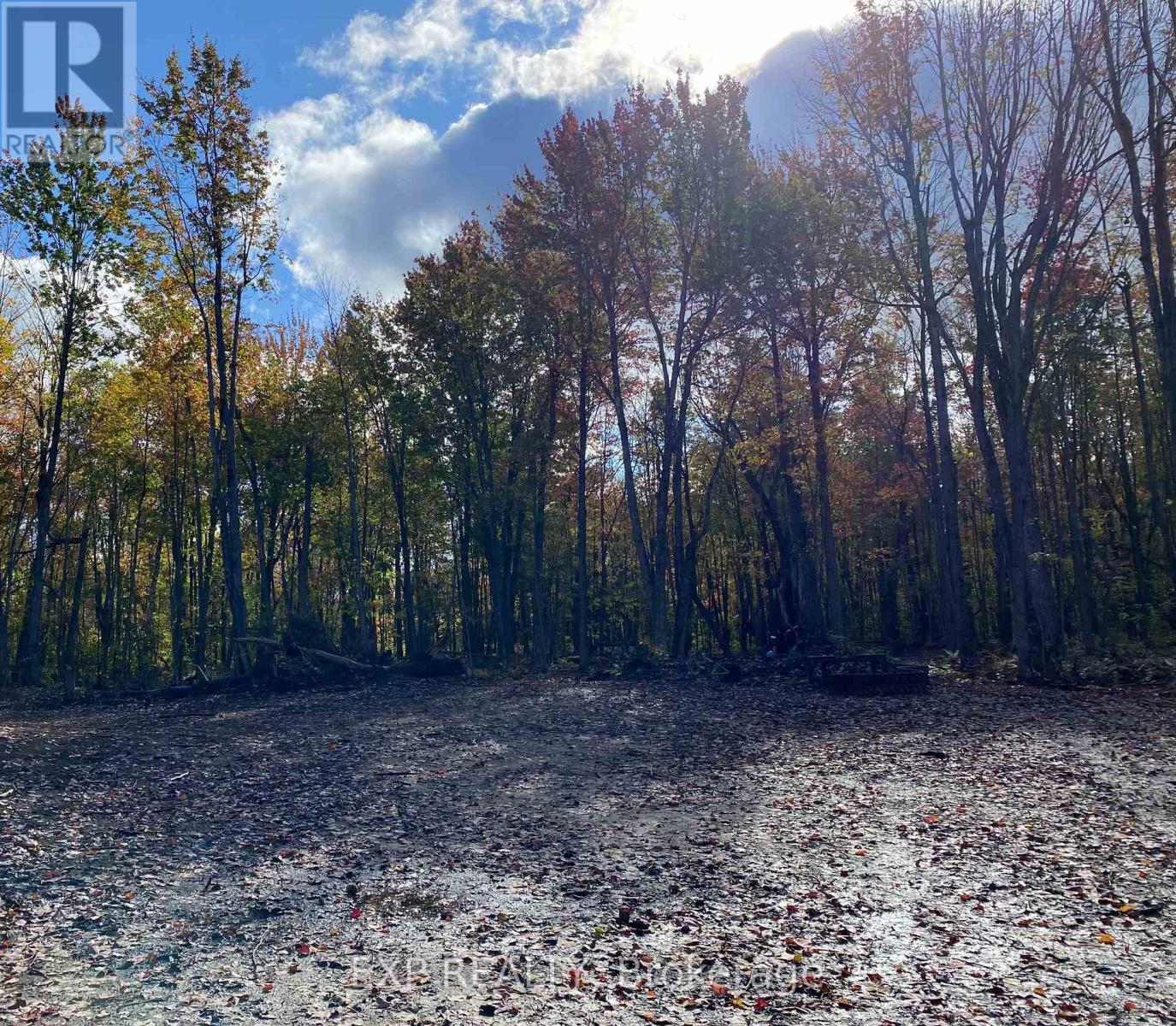 LOT 20 CONCESSION 4 ROAD — photo 8