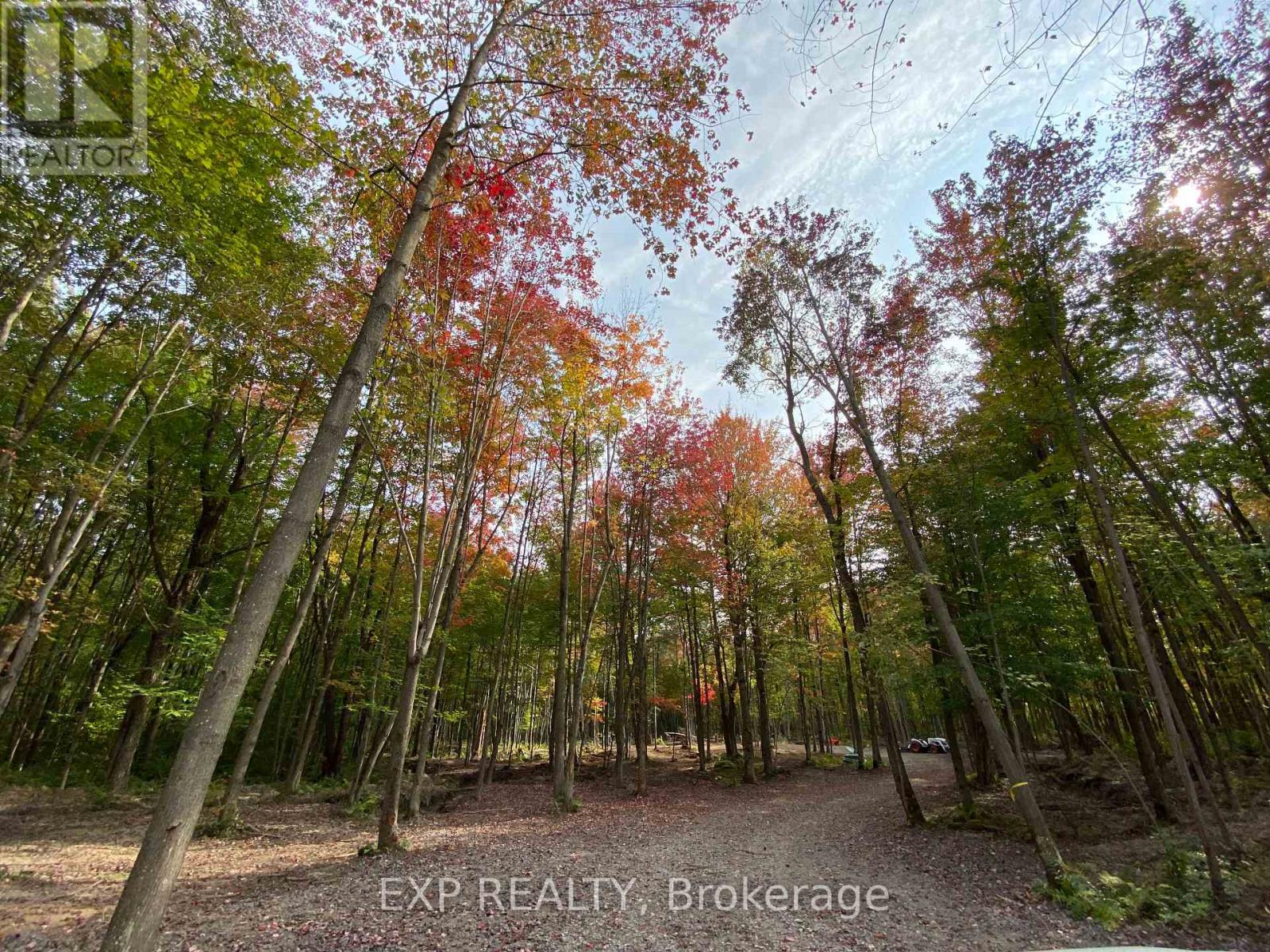 LOT 20 CONCESSION 4 ROAD — photo 9