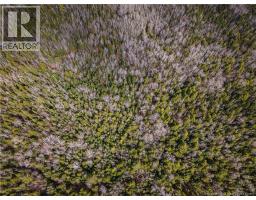 Lot 25-4 Buckley Settlement Road, Anagance, NB E4Z1B9 Photo 8