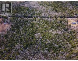 Lot 25-4 Buckley Settlement Road, Anagance, NB E4Z1B9 Photo 7