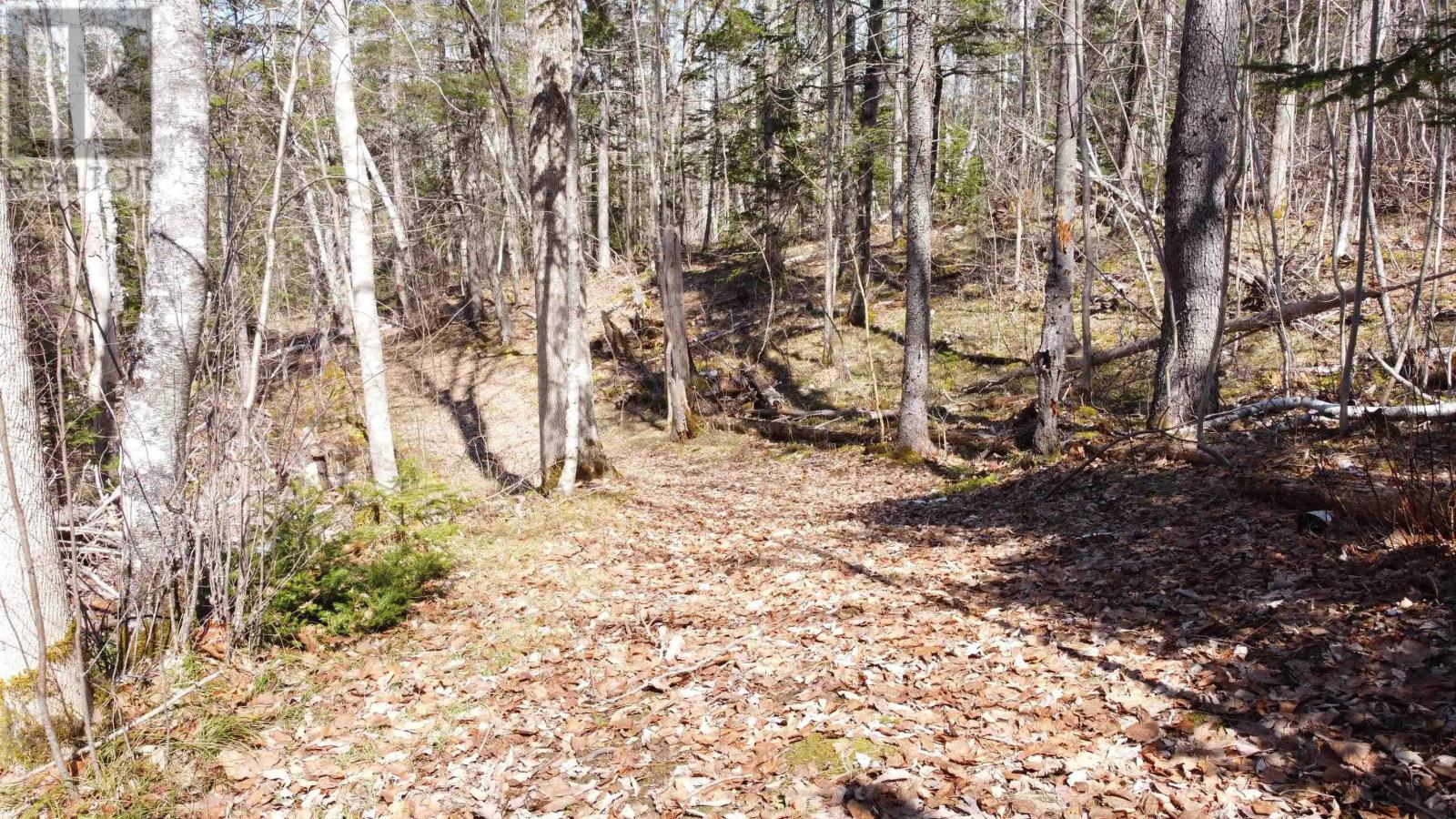 Property 3 of 23 of 21 Lot Riverview Drive